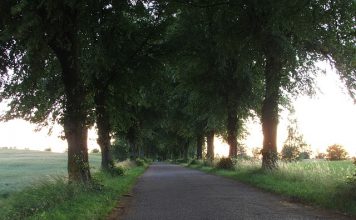 Jak naładować baterie na jesień i zimę?