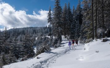 Co zobaczyć w Zakopanem zimą