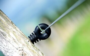 Czy w Pradze lubią Polaków?