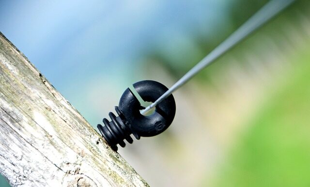 Czy w Pradze lubią Polaków? Czy w Pradze lubią Polaków?