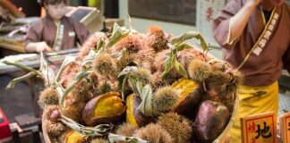 Jak dojechać pociągiem do Adrspach?