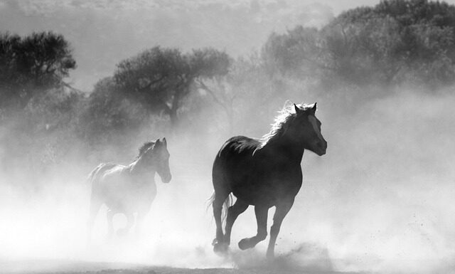 Gdzie we Włoszech nie można palić? Gdzie we Włoszech nie można palić?