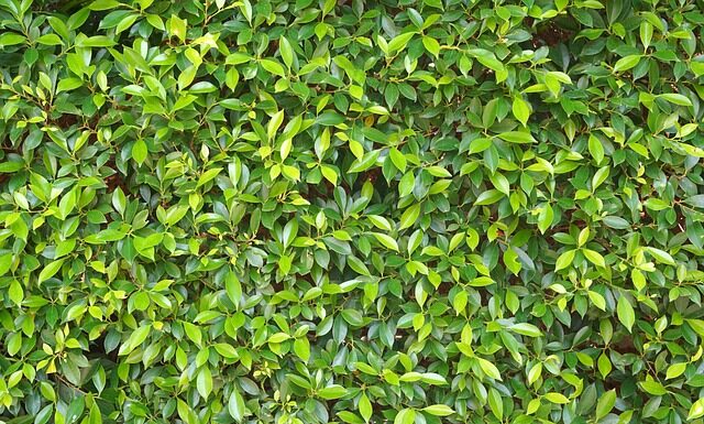 Ile kosztuje 1 tona węgla? Ile kosztuje 1 tona węgla?