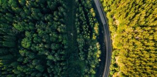 Co trzeba mieć żeby jechać do Czech?