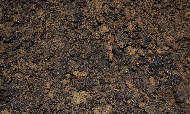 Dlaczego zalewa plac Św Marka? Dlaczego zalewa plac Św Marka?