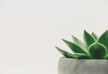 Ile wynosi minimalna emerytura we Włoszech?