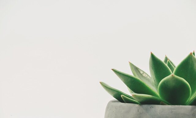 Ile wynosi minimalna emerytura we Włoszech? Ile wynosi minimalna emerytura we Włoszech?