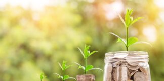 Jak wejść na rynek czeski?