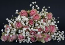 Jak się mówi dziękuję po czesku?