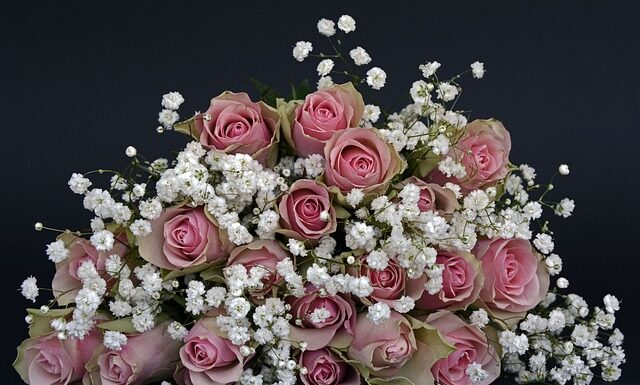 Jak się mówi dziękuję po czesku?