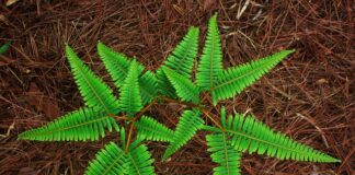 W jakim kraju jest najwięcej dni wolnych od szkoły?