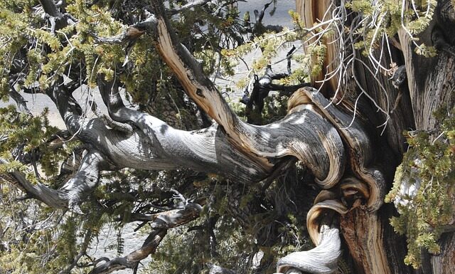 Jaki jest najstarszy kraj w Europie? Jaki jest najstarszy kraj w Europie?