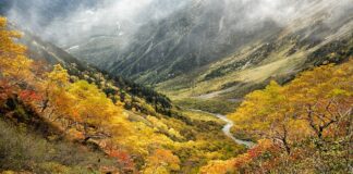 Co to jest strefa niebieska?