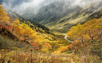 Co to jest strefa niebieska? Co to jest strefa niebieska?