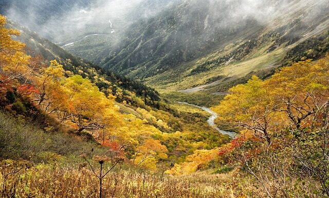 Co to jest strefa niebieska? Co to jest strefa niebieska?
