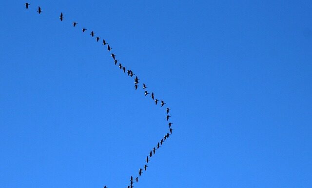 Kiedy najtaniej lecieć do Włoch?
