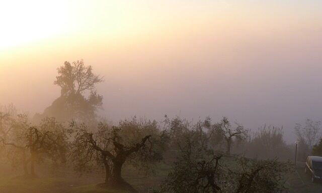 W jakim kraju jest najmniej godzin pracy? W jakim kraju jest najmniej godzin pracy?