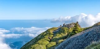 Co oznacza litera M na czeskich drogach?