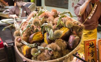 Jak dojechać pociągiem do Włoch?