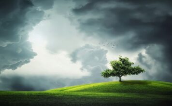 Jaka pogoda w kwietniu w Pradze? Jaka pogoda w kwietniu w Pradze?