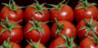 Czemu Włosi nie lubią ketchupu?