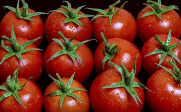 Czemu Włosi nie lubią ketchupu? Czemu Włosi nie lubią ketchupu?