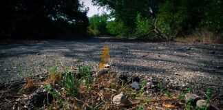 Co grozi za pozostawienie dziecka samego w domu?