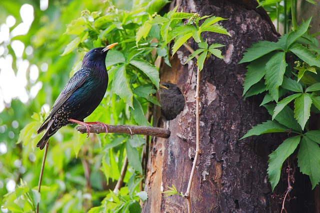Jaki jest najsilniejszy kraj w Europie? Jaki jest najsilniejszy kraj w Europie?