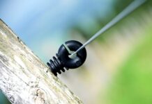 Jak nazywają Polaków za granicą? Jak nazywają Polaków za granicą?