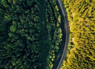 Ile koron na wyjazd do Czech?