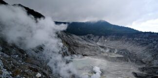 Dlaczego warto palić papierosy?