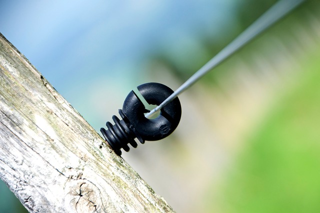 Jak Czesi postrzegają Polaków? Jak Czesi postrzegają Polaków?