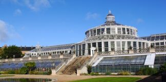 Gdzie tanio zjeść w Kopenhadze?