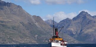 Ile zarabia się w Lidlu?