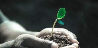 Czy drogie jest życie w Danii?