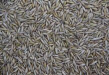 Co jest produkowane w Czechach? Co jest produkowane w Czechach?