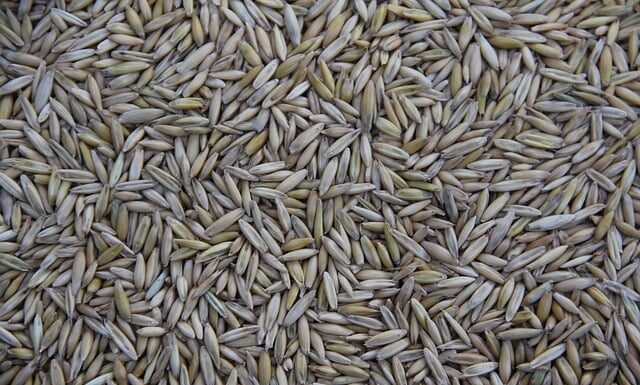 Co jest produkowane w Czechach?