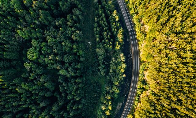 Dlaczego warto pojechać do Czech? Dlaczego warto pojechać do Czech?