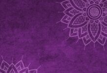 Jaki jest Mandat za spanie w samochodzie?