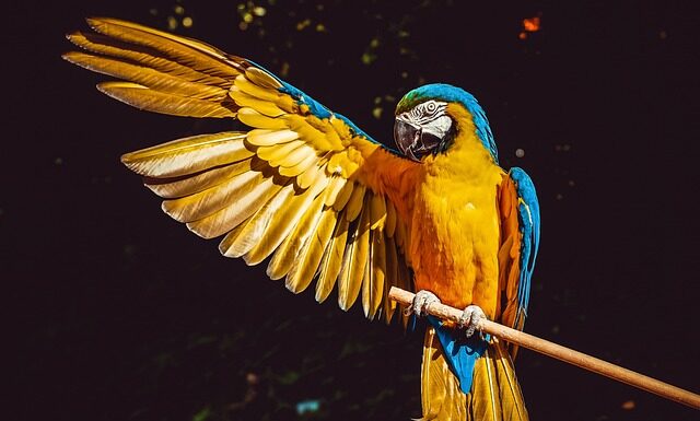 Jak po czesku poprosić o rachunek? Jak po czesku poprosić o rachunek?