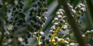 Co warto spróbować we Włoszech?