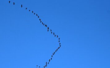 Kiedy najlepiej lecieć do Włoch? Kiedy najlepiej lecieć do Włoch?