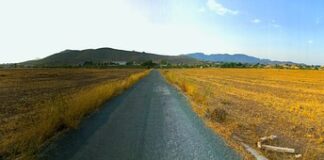 Jak inaczej nazywano braci czeskich?