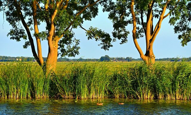 Co jest typowo polskie?