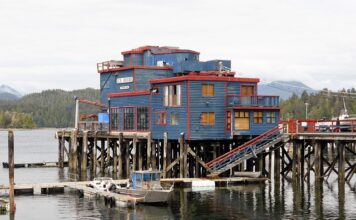 Co Polacy kupują w Czechach?