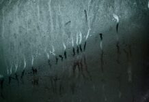 Czy w domach w Wenecji jest wilgoć?