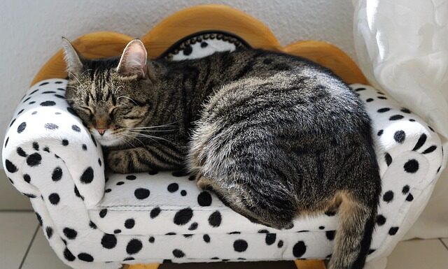 W jakich godzinach Włosi mają sieste? W jakich godzinach Włosi mają sieste?