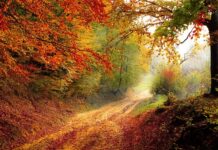 W jakim kraju jest najkrótszy rok szkolny?