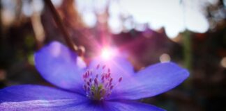 W jakim kraju mieszka najmniej ludzi?