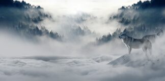 Czy zimą można jeździć na światłach dziennych?